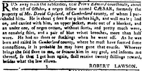 image of runaway ad for Caesar (November, 1774)