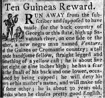 image of runaway ad for Venture (February 1792)