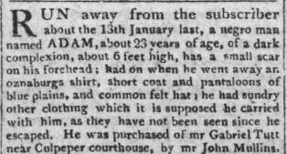 image of runaway ad for Adam (June 1805)
